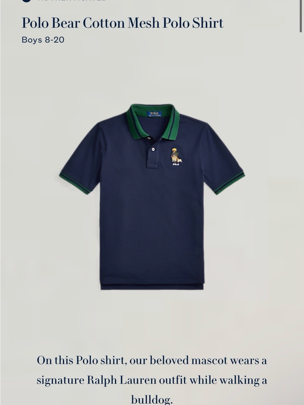 Polo by Ralph Lauren Boys Navy Polo Shirt with Green Trim and Polo Bear